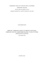 Maruni i hibridne sorte pitomoga kestena: kemijski sastav, morfometrijske i kvalitativne značajke plodova