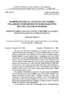 Morphometrical analysis and needle volatiles composition of some hard pine species and their hybrids