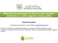 Selection of genotypes of Service tree (Sorbus domestica L.) with regard to seed quality