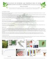 POSTER Influence of extreme air temperatures on seed germination of Sweet Wormwood (Artemisia annua L.)