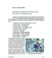prikaz prve stranice dokumenta Zanimljivosti iz žabljeg svijeta Turopolja