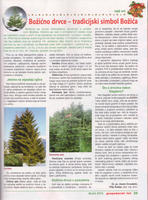 prikaz prve stranice dokumenta Božićno drvce-tradicijski simbol Božića