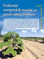 prikaz prve stranice dokumenta Podizanje energetskih nasada za proizvodnju biomase