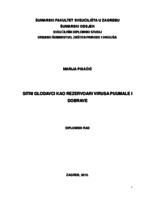 prikaz prve stranice dokumenta Sitni glodavci kao rezervoari virusa Puumala i Dobrava