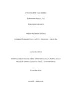 prikaz prve stranice dokumenta Morfološka i fiziološka diferencijacija populacija hrasta crnike (Quercus ilex L.) u Hrvatskoj