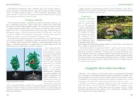 prikaz prve stranice dokumenta Uzgojite divovske bundeve