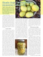 prikaz prve stranice dokumenta Kineska dunja – ukrasna i korisna zanemarena voćkarica (2)