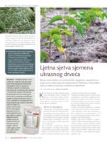 prikaz prve stranice dokumenta Ljetna sjetva sjemena ukrasnog drveća