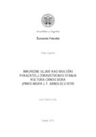 prikaz prve stranice dokumenta Mikorizne gljive kao biološki pokazatelj zdravstvenog stanja kultura crnog bora (Pinusnigra J. F. Arnold) u Istri